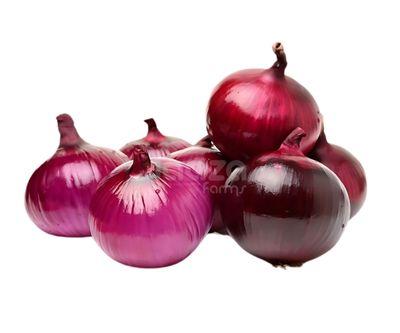 Onion