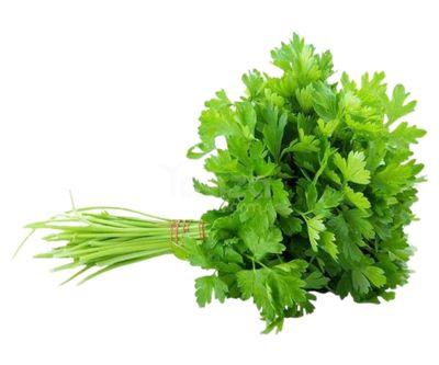 Coriander