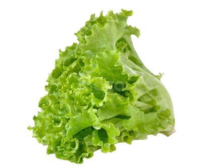 Green Lettuce