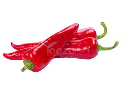 Red Chili