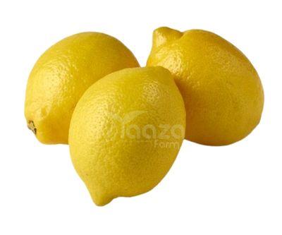 Lemon