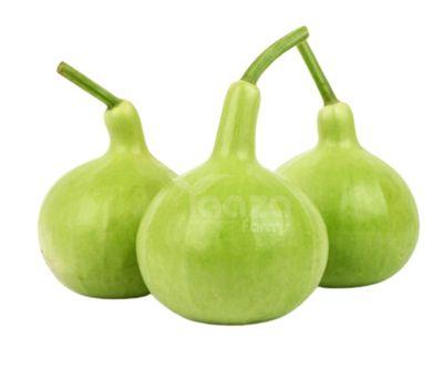 Bottle Gourd (Round)