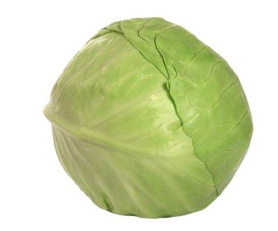 Cabbage