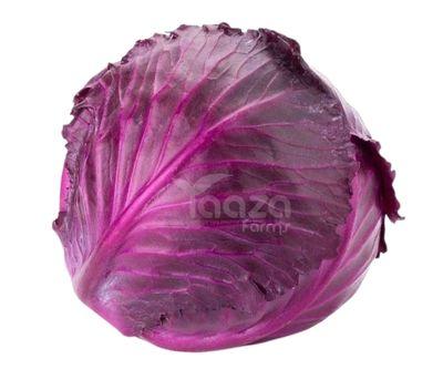 Red Cabbage