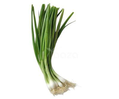 Spring Onion