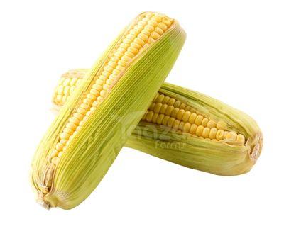 Corn