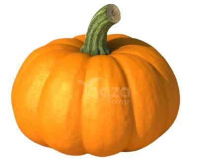 Pumpkin