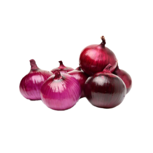 Onion
