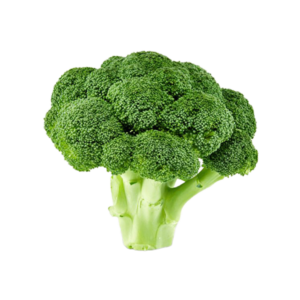 Broccoli