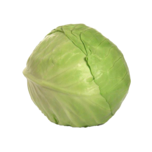 Cabbage