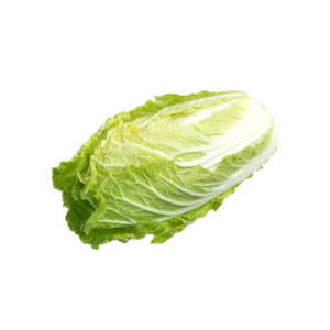 China Cabbage