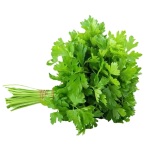 Coriander