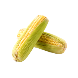 Corn