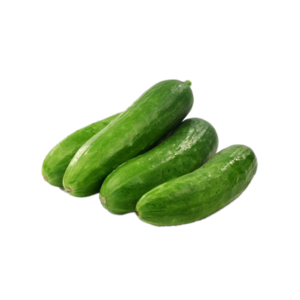 Cucumber Hybrid
