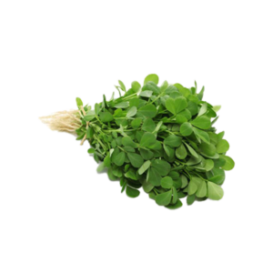 Fenugreek