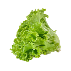 Lettuce Green
