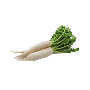 Radish