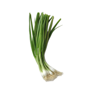 Spring Onion