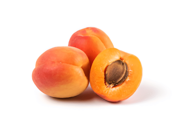 Apricot