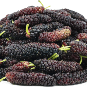 Mulberry Shahtoot