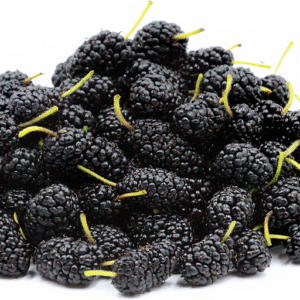 Mulberry